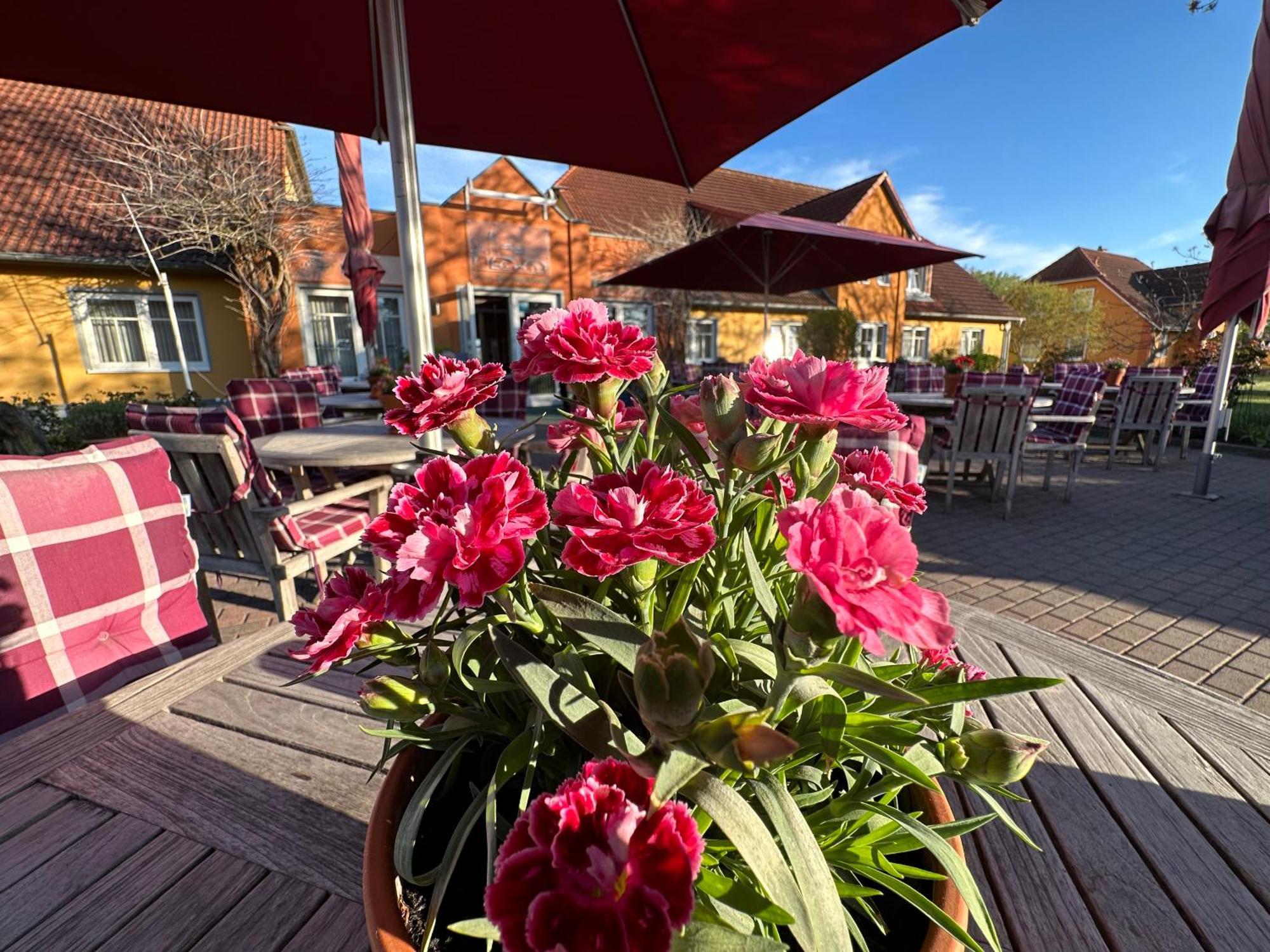 Hotel & Restaurant Zum Kap Arkona Putgarten Eksteriør bilde